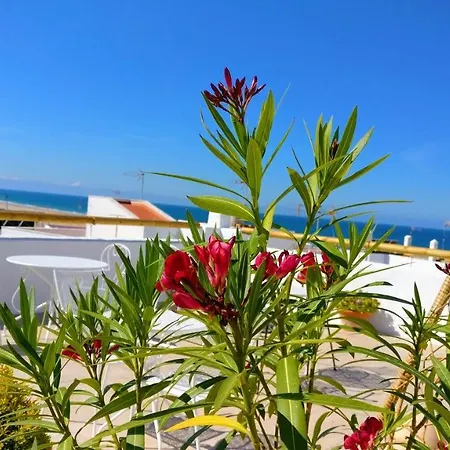 公寓 Y En El Centro La Jabega By Conil 科尼尔-德拉弗龙特拉