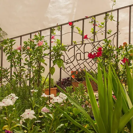 Apartment Y En El Centro La Jabega By Conil