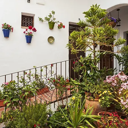 Apartment Y En El Centro La Jabega By Conil *