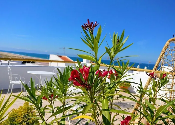 Διαμέρισμα Y En El Centro La Jabega By Conil Conil De La Frontera