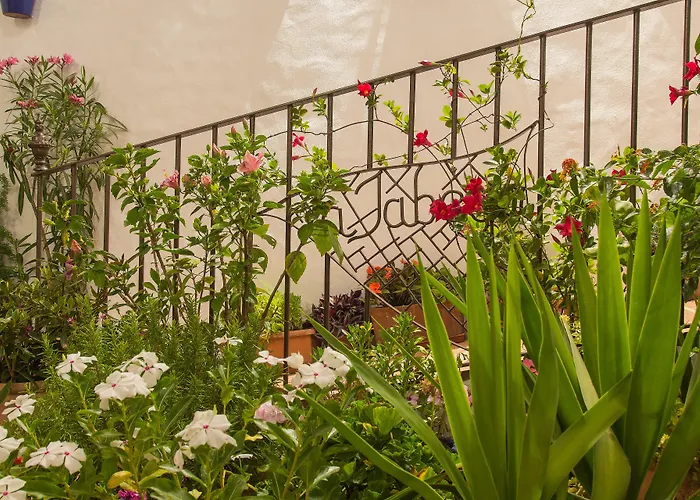 Apartamento Y En El Centro La Jábega By Conil