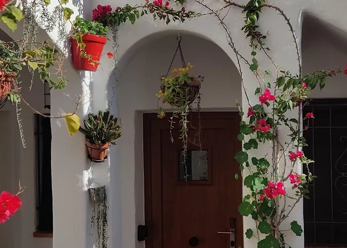 Y En El Centro La Jabega By Conil Διαμέρισμα Conil De La Frontera