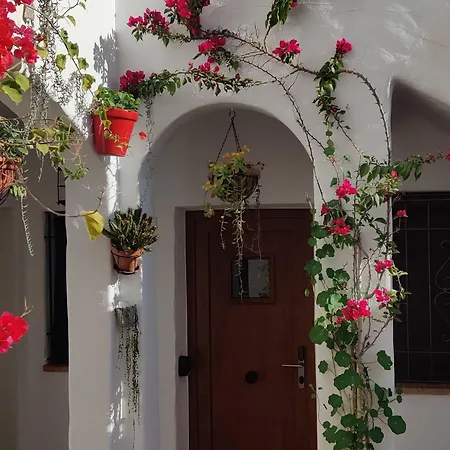 Y En El Centro La Jabega By Conil Appartement Conil De La Frontera