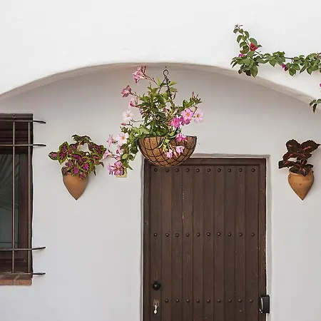 Y En El Centro La Jabega By Conil Appartement