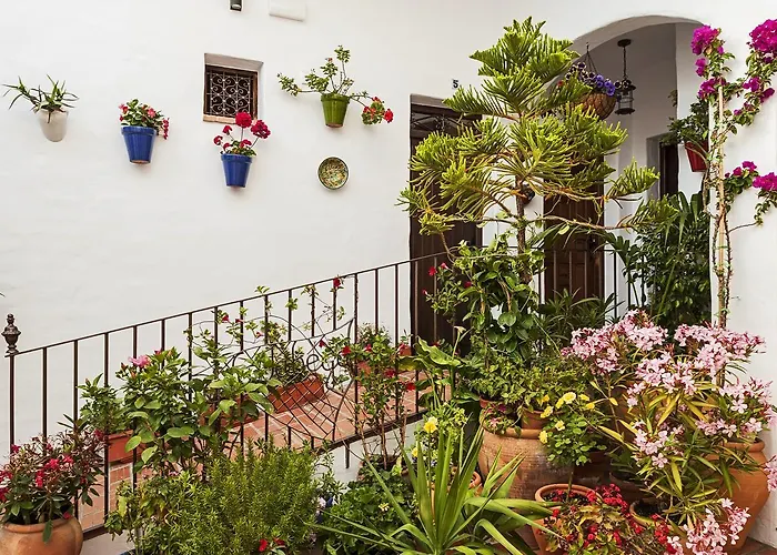 Apartmán Y En El Centro La Jabega By Conil *